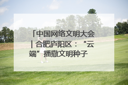 中国网络文明大会｜合肥庐阳区：“云端”播撒文明种子 共建清朗网络空间