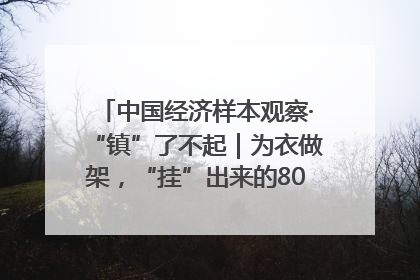 中国经济样本观察·“镇”了不起｜为衣做架，“挂”出来的80亿元“衣架产业”