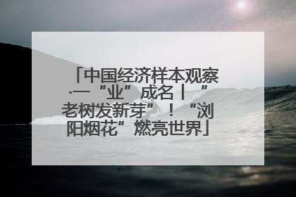 中国经济样本观察·一“业”成名丨“老树发新芽”！“浏阳烟花”燃亮世界