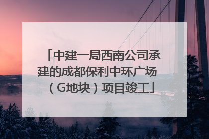 中建一局西南公司承建的成都保利中环广场（G地块）项目竣工