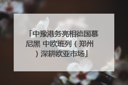 中豫港务亮相德国慕尼黑 中欧班列（郑州）深耕欧亚市场