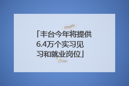 丰台今年将提供6.4万个实习见习和就业岗位