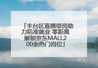 丰台区直播带岗助力精准就业 零距离解锁京东MALL200余热门岗位