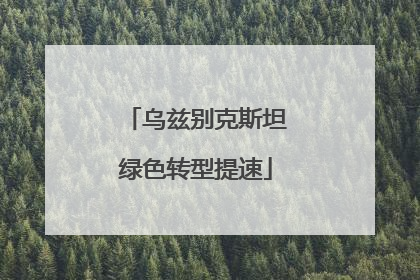 乌兹别克斯坦绿色转型提速