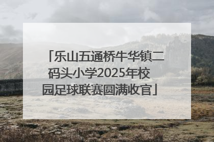 乐山五通桥牛华镇二码头小学2025年校园足球联赛圆满收官