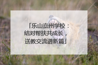 乐山嘉州学校：结对帮扶共成长，送教交流谱新篇