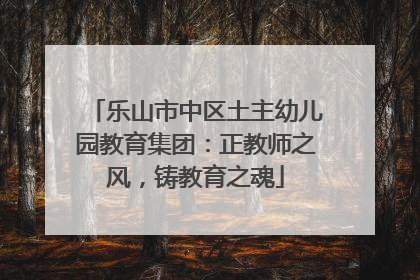 乐山市中区土主幼儿园教育集团：正教师之风，铸教育之魂