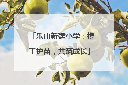 乐山新建小学：携手护苗，共筑成长