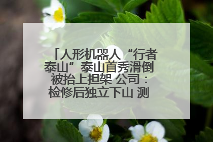 人形机器人“行者泰山”泰山首秀滑倒被抬上担架 公司：检修后独立下山 测试就是为暴露问题
