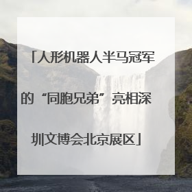 人形机器人半马冠军的“同胞兄弟”亮相深圳文博会北京展区