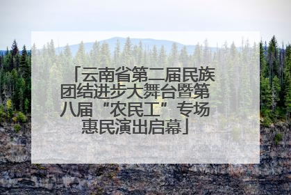 云南省第二届民族团结进步大舞台暨第八届“农民工”专场惠民演出启幕
