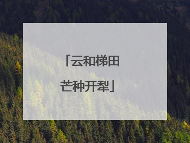 云和梯田 芒种开犁