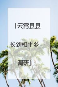 云霄县县长到和平乡调研
