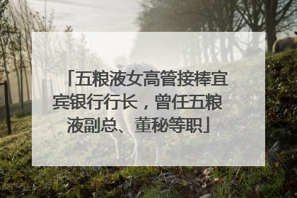 五粮液女高管接棒宜宾银行行长，曾任五粮液副总、董秘等职
