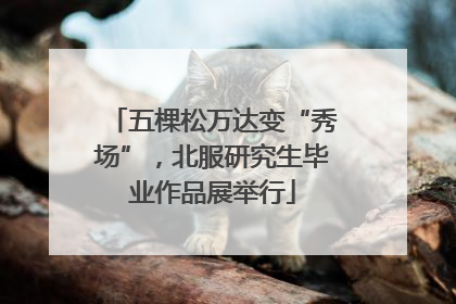 五棵松万达变“秀场”，北服研究生毕业作品展举行