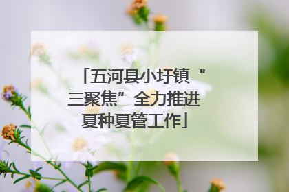 五河县小圩镇“三聚焦”全力推进夏种夏管工作