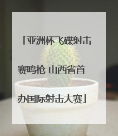 亚洲杯飞碟射击赛鸣枪 山西省首办国际射击大赛