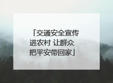 交通安全宣传进农村 让群众把平安带回家