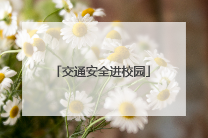 交通安全进校园