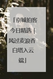 京城拍客今日精选｜风过麦浪香 白塔入云端