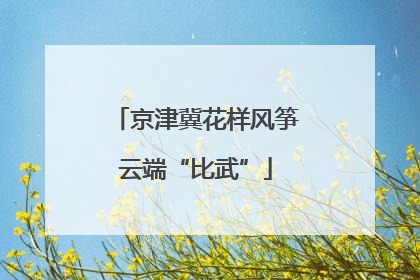 京津冀花样风筝云端“比武”