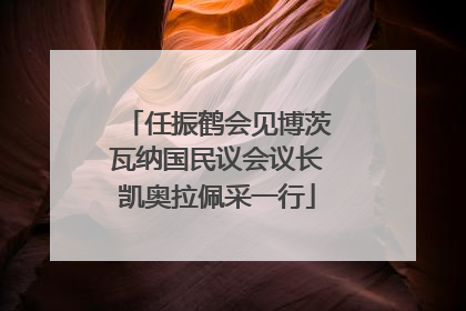 任振鹤会见博茨瓦纳国民议会议长凯奥拉佩采一行