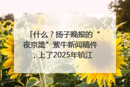 什么？扬子晚报的“夜京畿”紫牛新闻稿件，上了2025年镇江中考模拟卷！