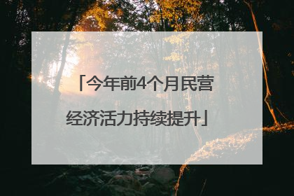 今年前4个月民营经济活力持续提升