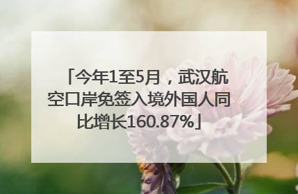 今年1至5月，武汉航空口岸免签入境外国人同比增长160.87%