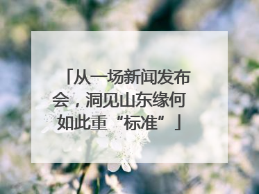 从一场新闻发布会，洞见山东缘何如此重“标准”