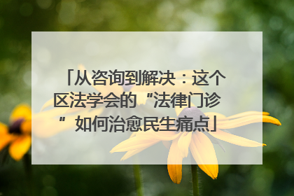 从咨询到解决：这个区法学会的“法律门诊”如何治愈民生痛点