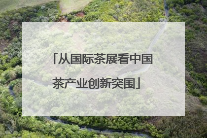 从国际茶展看中国茶产业创新突围