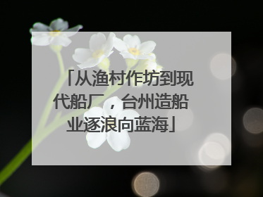 从渔村作坊到现代船厂，台州造船业逐浪向蓝海