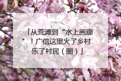 从荒滩到“水上画廊”！广信这里火了乡村 乐了村民（图）