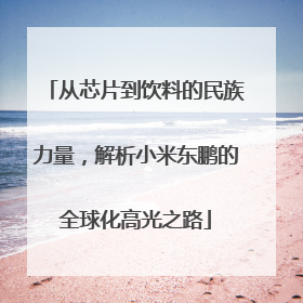 从芯片到饮料的民族力量，解析小米东鹏的全球化高光之路