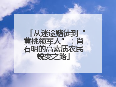 从迷途赌徒到“黄桃领军人”：肖石明的高素质农民蜕变之路