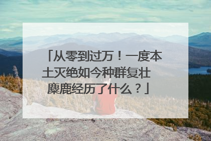 从零到过万！一度本土灭绝如今种群复壮 麋鹿经历了什么？