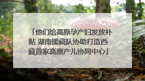 他们给高原孕产妇发放补贴 湖南援藏队协助打造西藏首家高原产儿协同中心