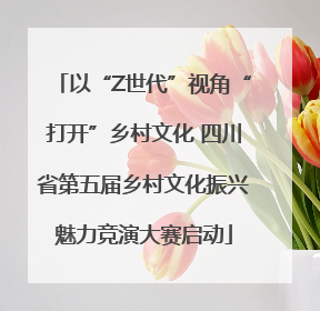 以“Z世代”视角“打开”乡村文化 四川省第五届乡村文化振兴魅力竞演大赛启动