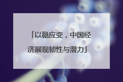 以稳应变，中国经济展现韧性与潜力