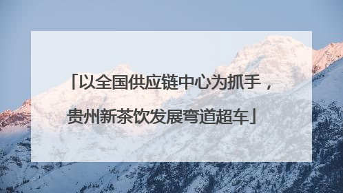 以全国供应链中心为抓手，贵州新茶饮发展弯道超车