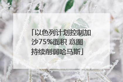 以色列计划控制加沙75%面积 意图持续削弱哈马斯