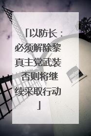 以防长：必须解除黎真主党武装 否则将继续采取行动