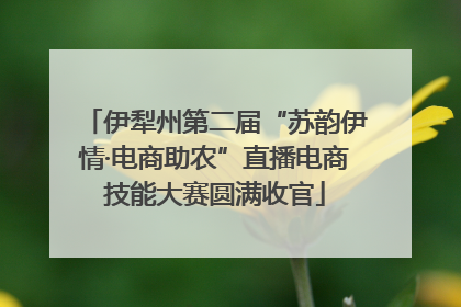 伊犁州第二届“苏韵伊情·电商助农”直播电商技能大赛圆满收官