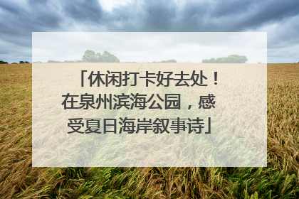 休闲打卡好去处！在泉州滨海公园，感受夏日海岸叙事诗