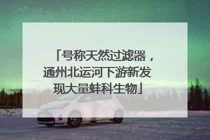 号称天然过滤器，通州北运河下游新发现大量蚌科生物