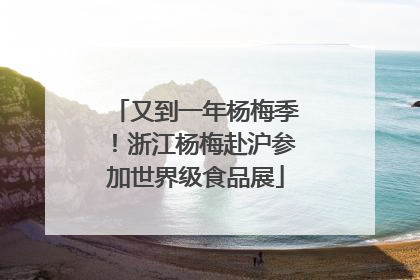 又到一年杨梅季！浙江杨梅赴沪参加世界级食品展
