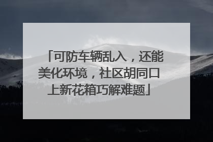 可防车辆乱入，还能美化环境，社区胡同口上新花箱巧解难题