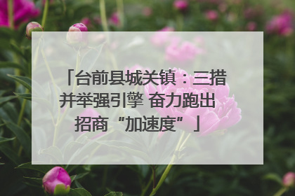 台前县城关镇：三措并举强引擎 奋力跑出招商“加速度”