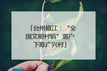 台州椒江：“全国文明村镇”落户下陈广兴村